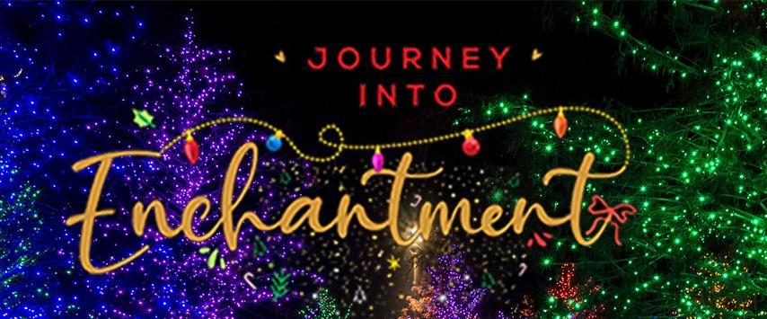 25%Off Journey into Enchantment 灯展