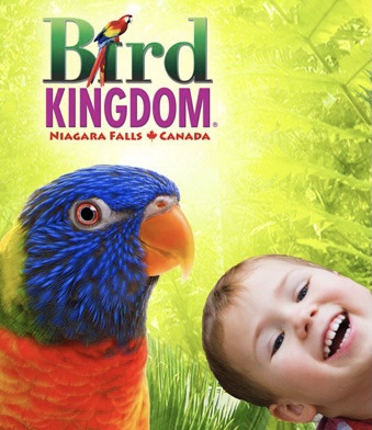 大瀑布Bird Kingdom 色彩斑斓世界最大室内鸟王国