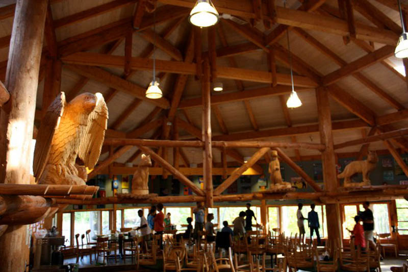 YMCA Pinecrest 夏令营 兴趣班 Helloyoyo友友加拿大