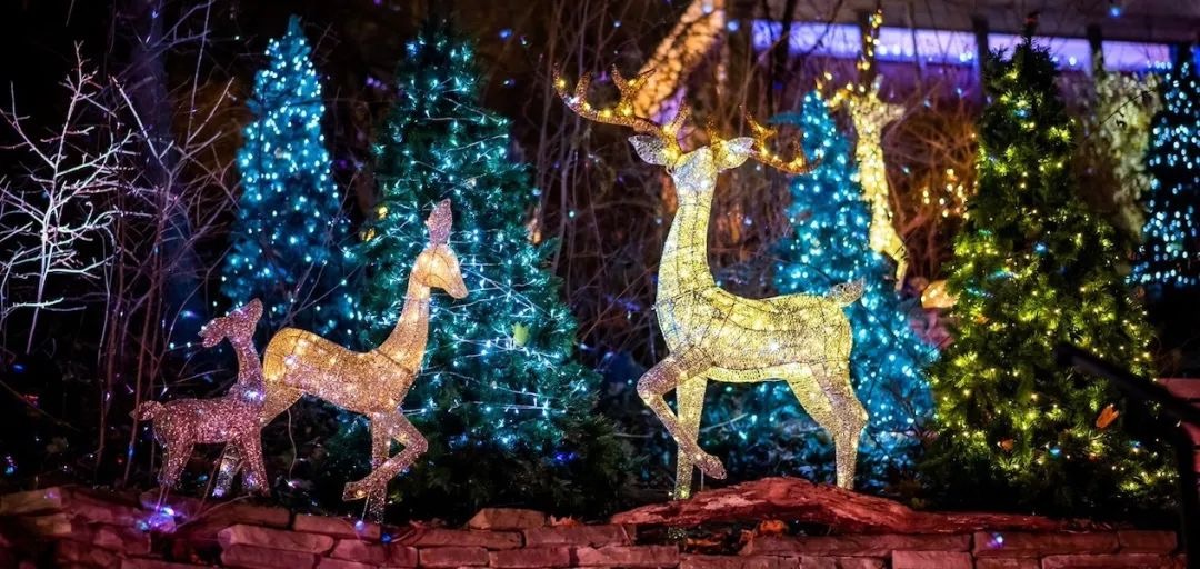 12月2日-3日周末好去处：滑雪,冰雕,灯展,集市,火车模型,火焰秀，还有更多......