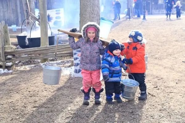 2026 大多伦多地区枫糖节最全打卡地图，带娃解锁加国最地道的甜蜜之旅