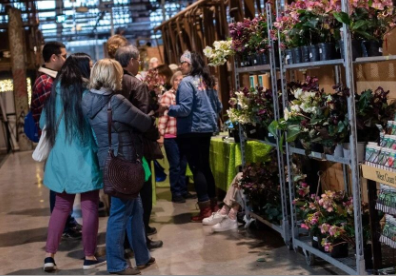 3月6-8日周末好去处：多伦多周年庆,乐高艺术展,沉浸太空体验,种子交换,家居展,艺术文化节,游行.......