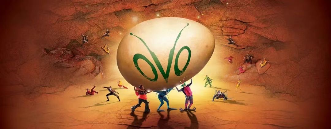 魔幻昆虫星球奇观 OVO 2025 太阳马戏团多伦多巡演（6月22号）