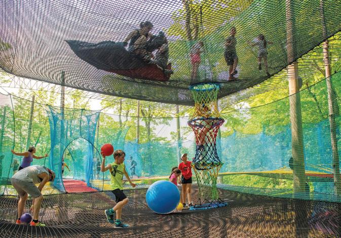 金秋节假日 Treetop Trekking/Upla Stouffville 友友会员折扣日